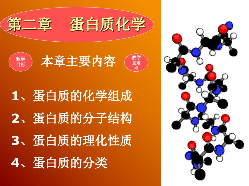 生化教案蛋白质化学