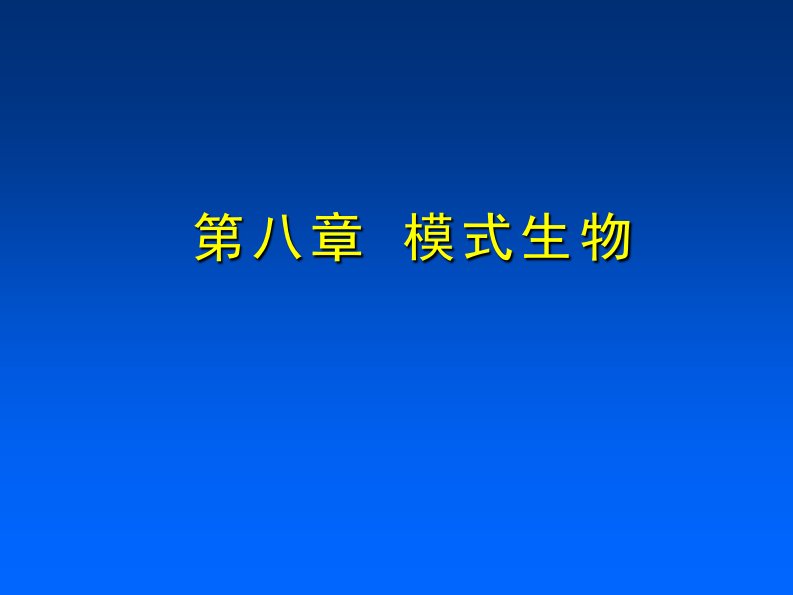 7-模式生物基因组