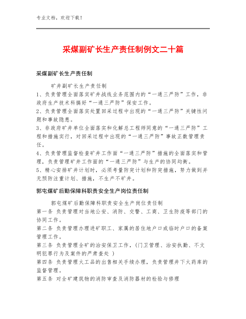 采煤副矿长生产责任制例文二十篇