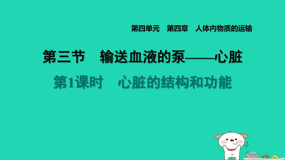 2024七年级生物下册第四单元生物圈中的人第四章人体内物质的运输第三节输送血液的泵──心脏第1课时心脏的结构和功能习题课件新版新人教版