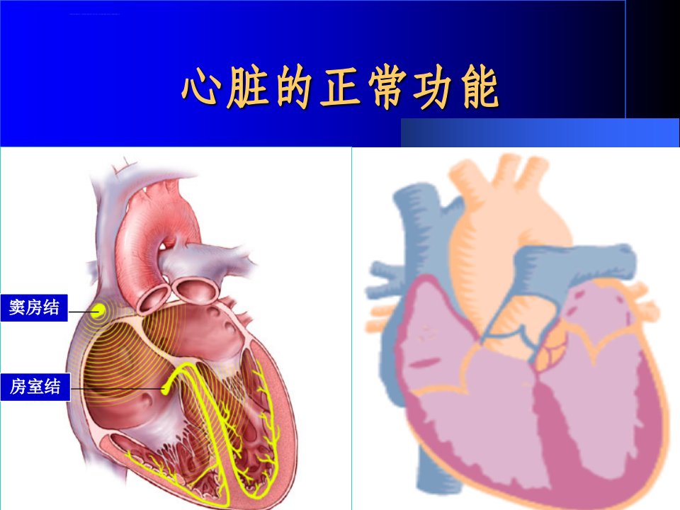 心律失常的诊断治疗进展ppt课件