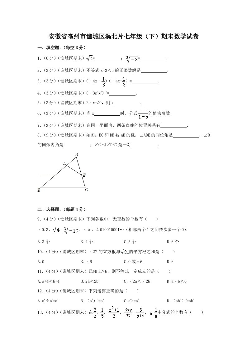 安徽省亳州市谯城区涡北片七年级