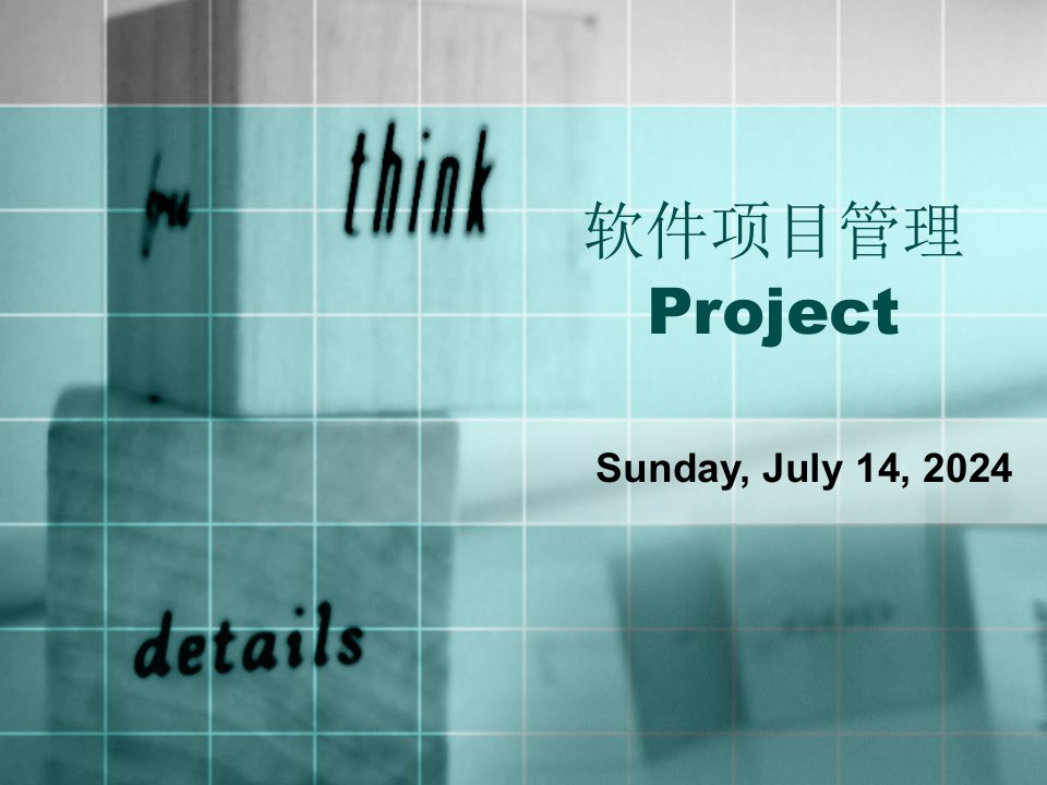 软件项目管理Project