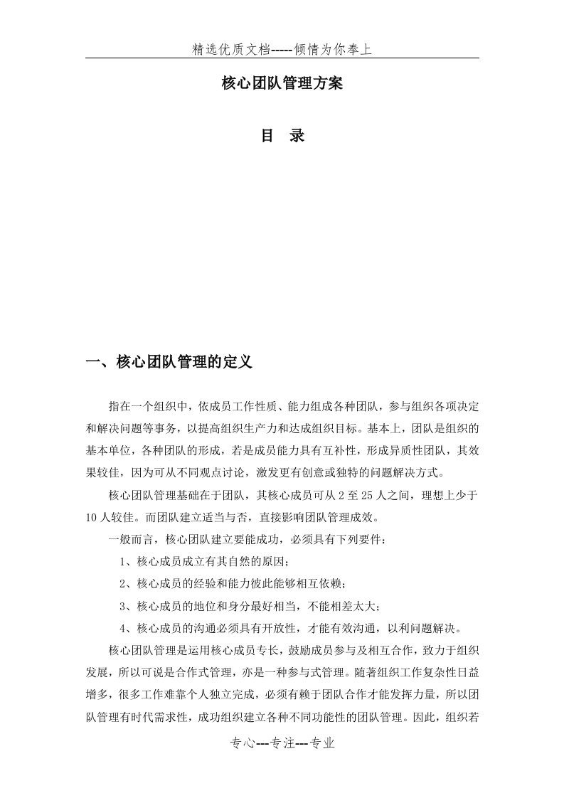 核心团队管理方案(共15页)