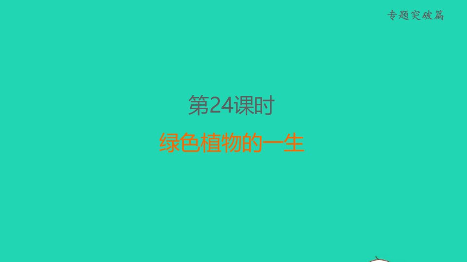 福建省2022年中考生物专题突破篇第24课时绿色植物的一生课堂讲本课件