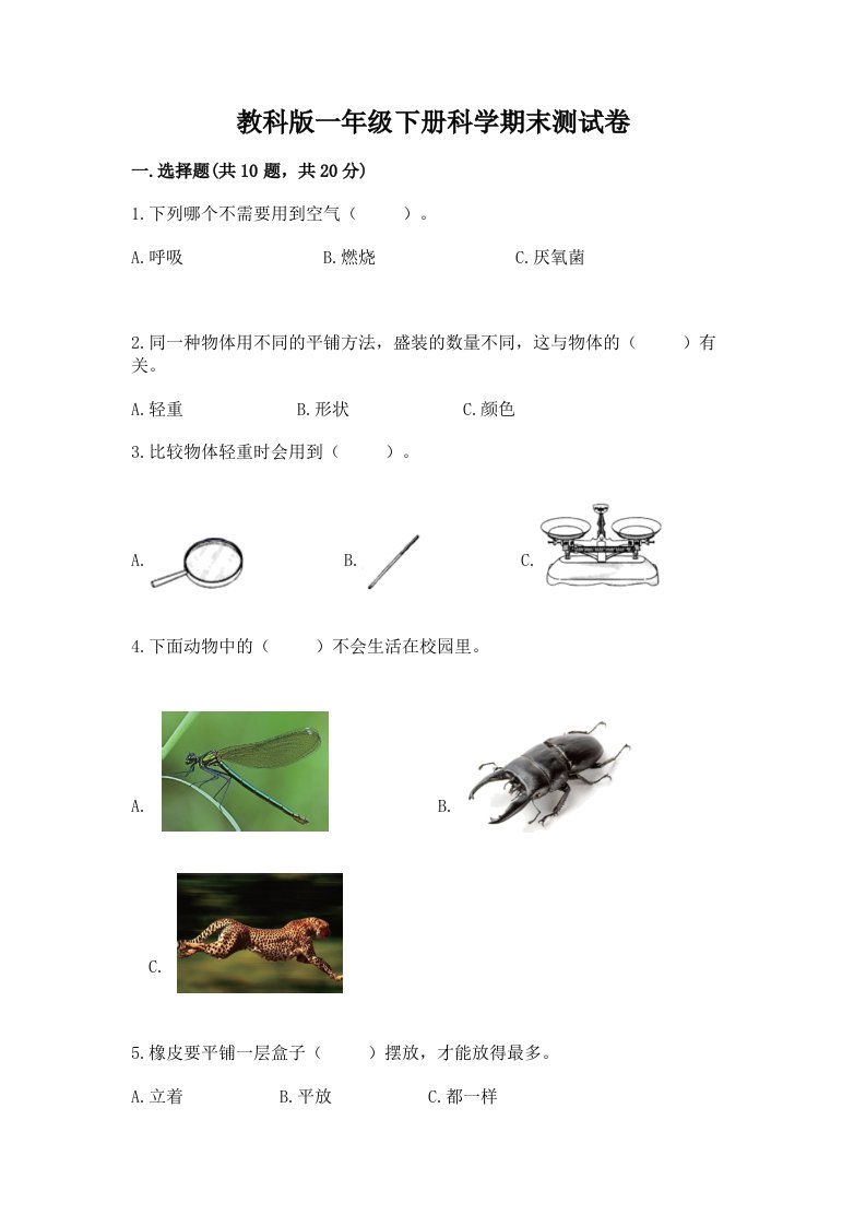 教科版一年级下册科学期末测试卷及完整答案【历年真题】