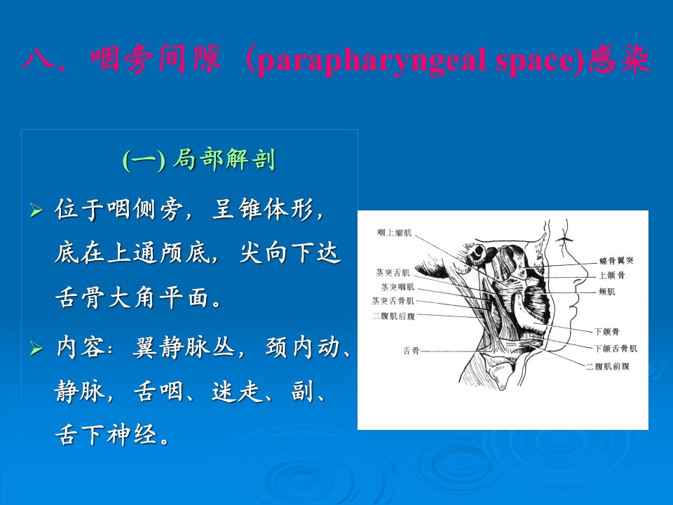 八、咽旁间隙（parapharyngeal