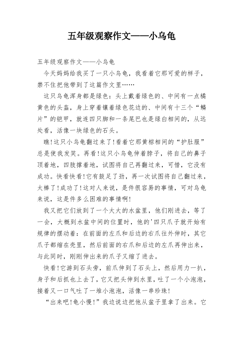 五年级观察作文——小乌龟