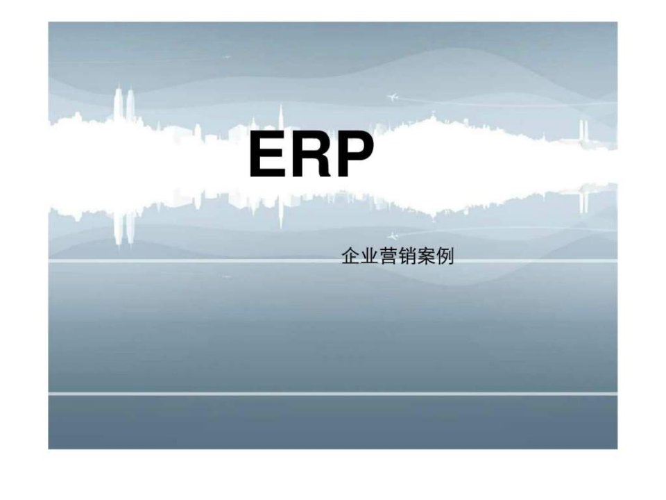 ERP企业案例分析