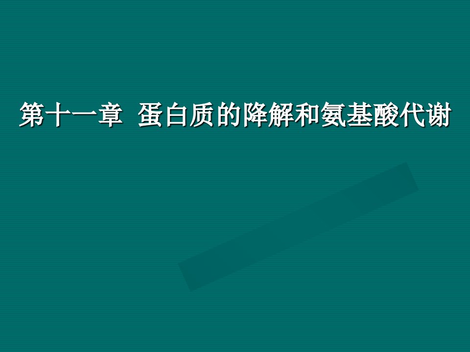 【简明生物教程】第十一章蛋白质的降解和氨基酸...课件