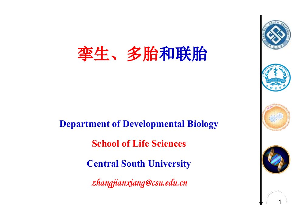 发育生物学教学课件182孪生多胎与联体