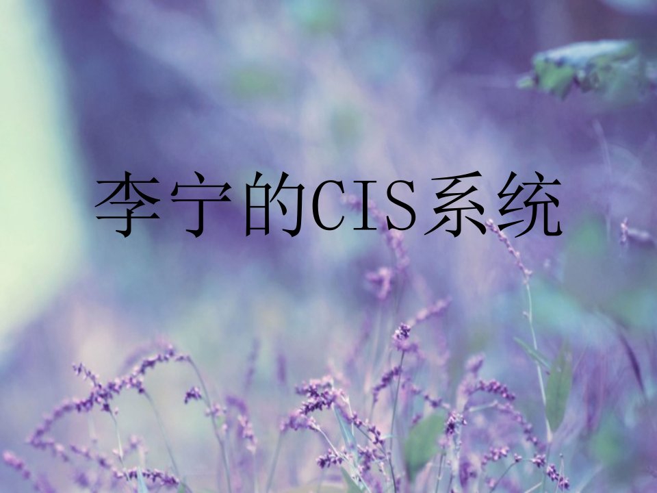 李宁CIS系统教材