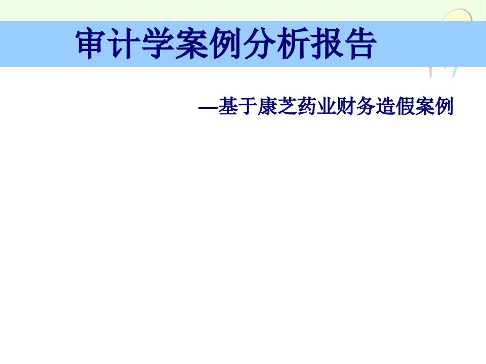 审计案例分析报告38页PPT