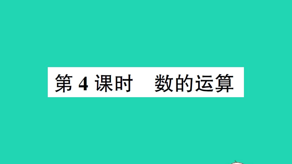 六年级数学下册五总复习专题一数与代数第4课时数的运算作业课件西师大版