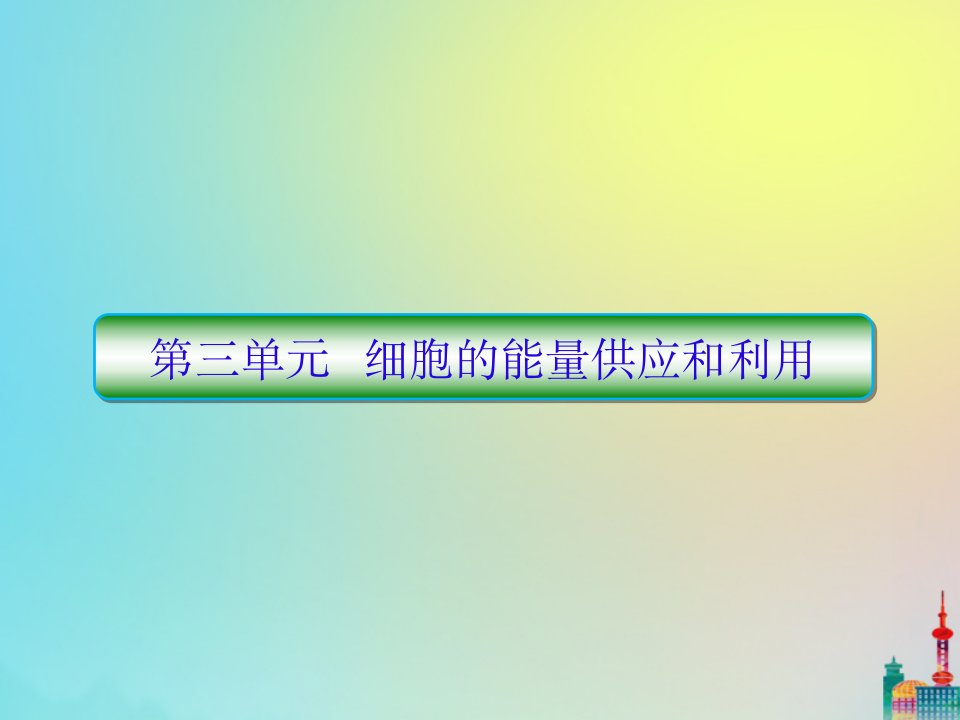 版高三生物总复习