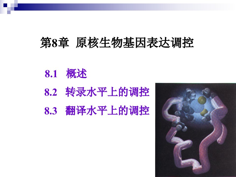 分子遗传学第8章