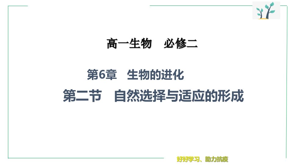 人教版高一生物必修二-6-2-自然选择和适应的形成(45张)课件