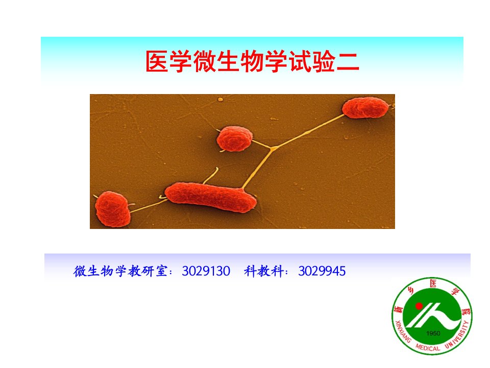 医学微生物学实验二抗酸染色市公开课获奖课件省名师示范课获奖课件