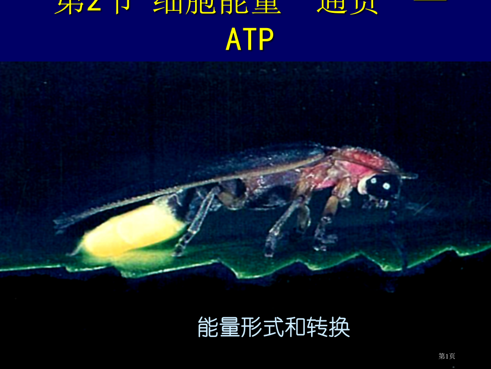 人教版教学名校联盟辽宁省大连市十四中高中生物细胞能量通货ATP必修一省公共课一等奖全国赛课获奖课件