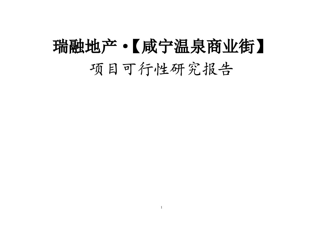 咸宁温泉商业街可行性研究报告