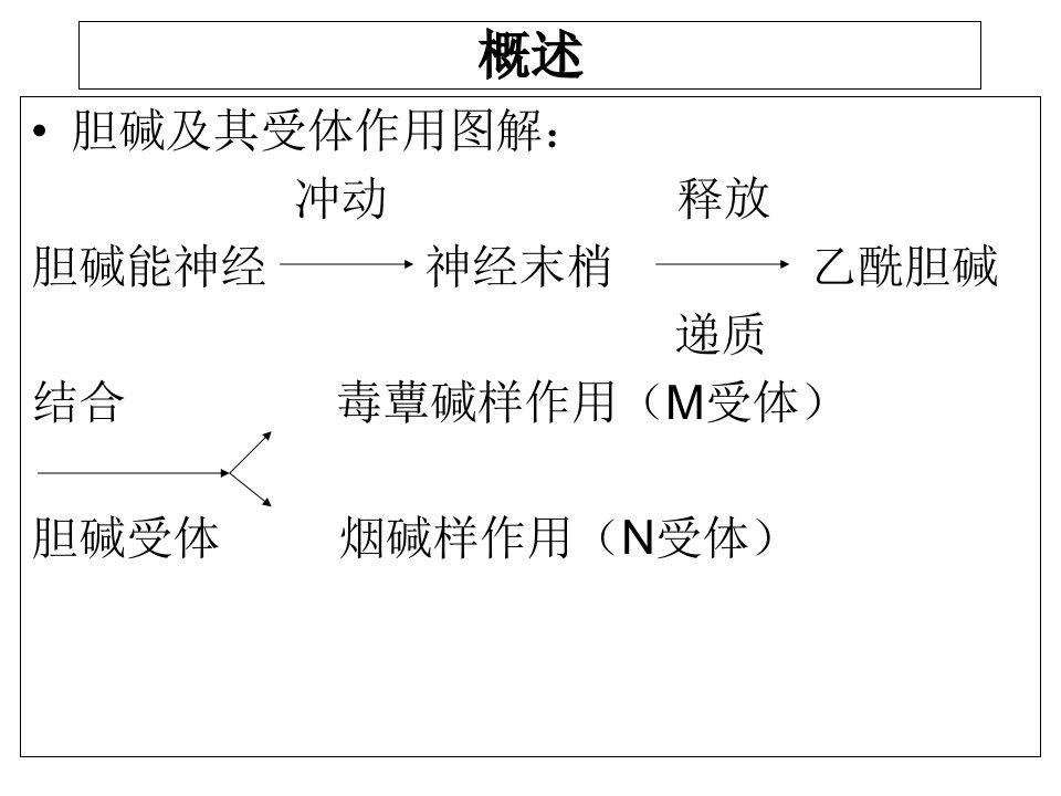 拟胆碱药和抗胆碱