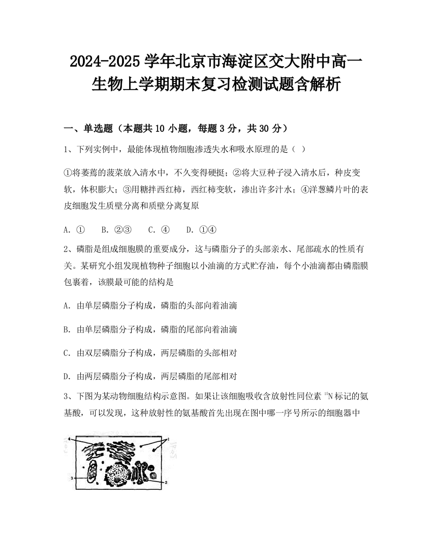 2024-2025学年北京市海淀区交大附中高一生物上学期期末复习检测试题含解析