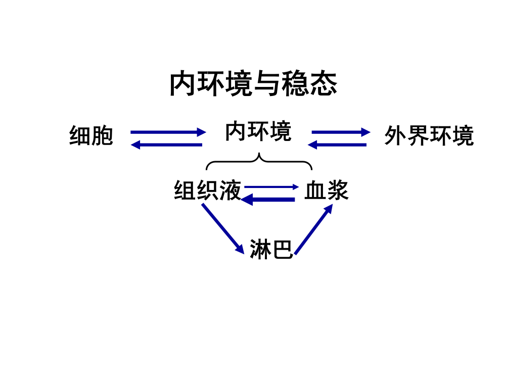 （中小学资料）人体稳态的调节