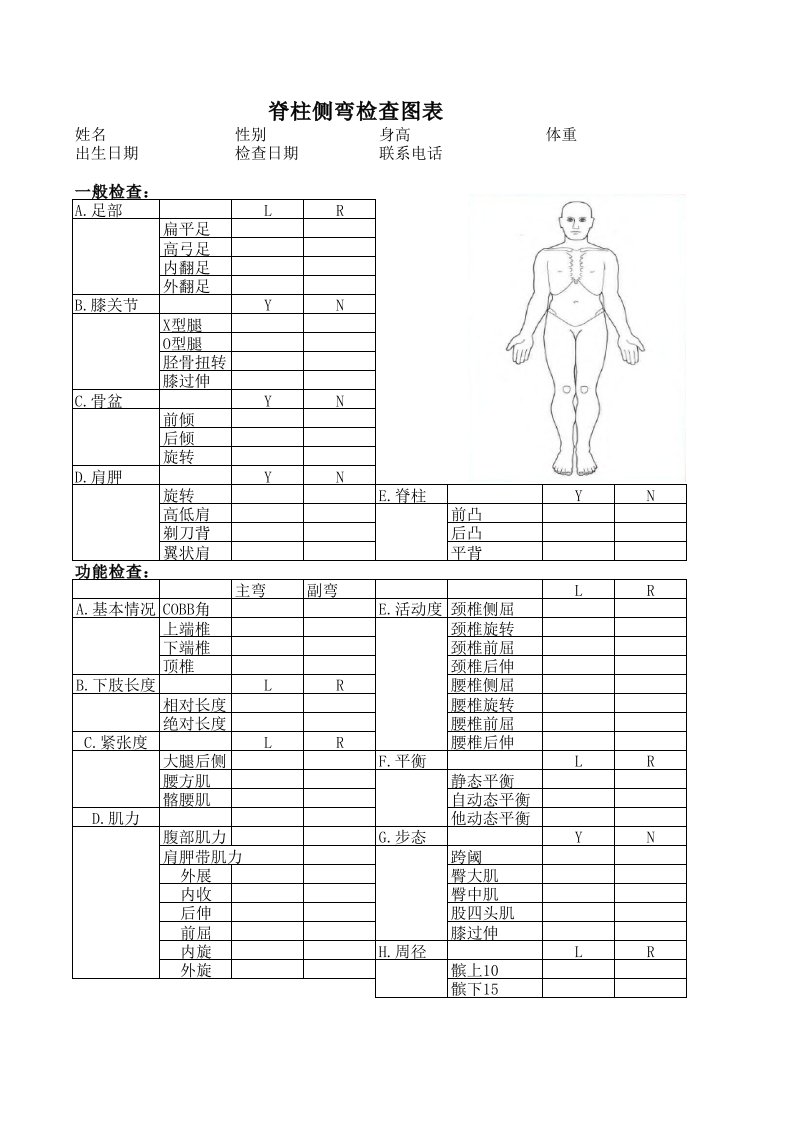 脊柱侧弯检查图表