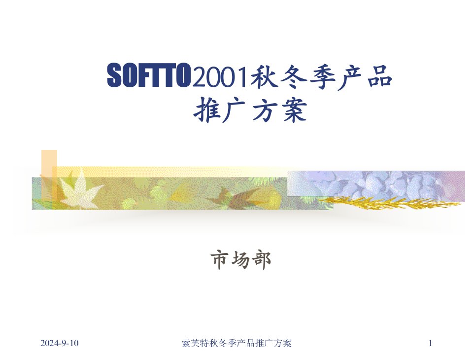 索芙特(SOFTTO)秋冬季产品推广方案(ppt60)-产品策略