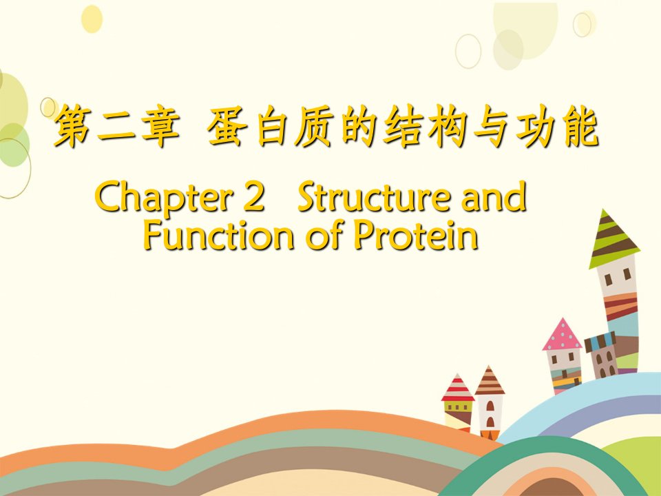 蛋白质的基本机构和功能