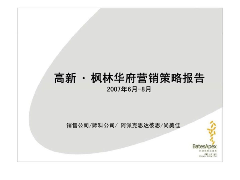 高新枫林华府营销策略报告