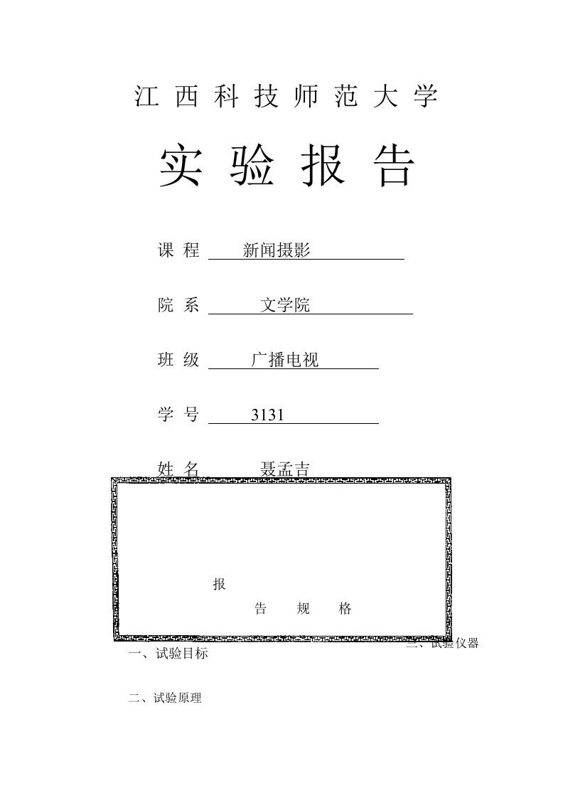 2024年摄影实验报告模板