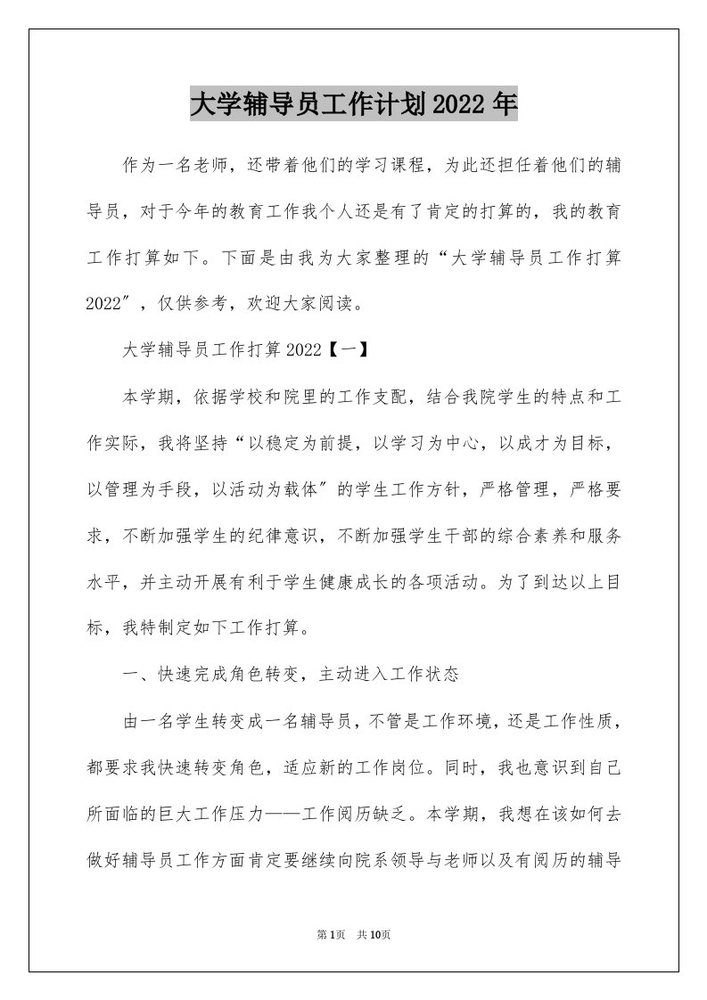 大学辅导员工作计划2022年