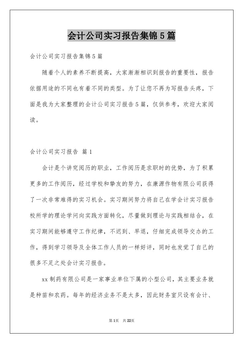 会计公司实习报告集锦5篇例文