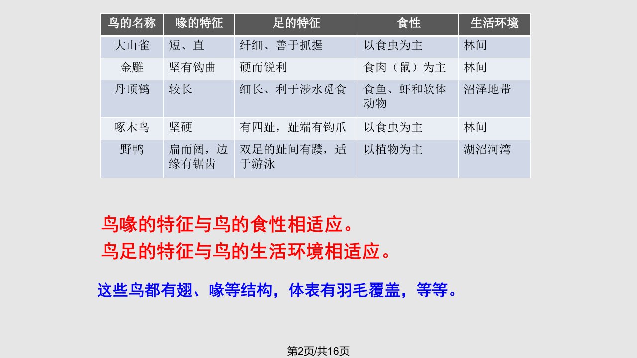 新人教八年级上册鸟