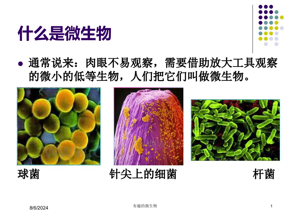 有趣的微生物专题课件