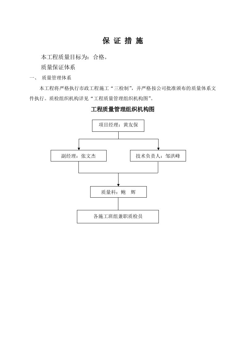 《项目保证措施》word版