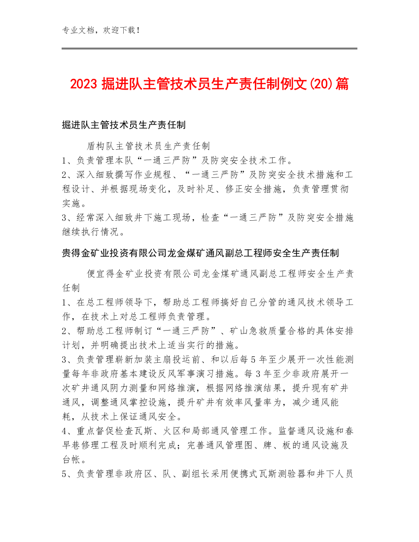 2023掘进队主管技术员生产责任制例文(20)篇