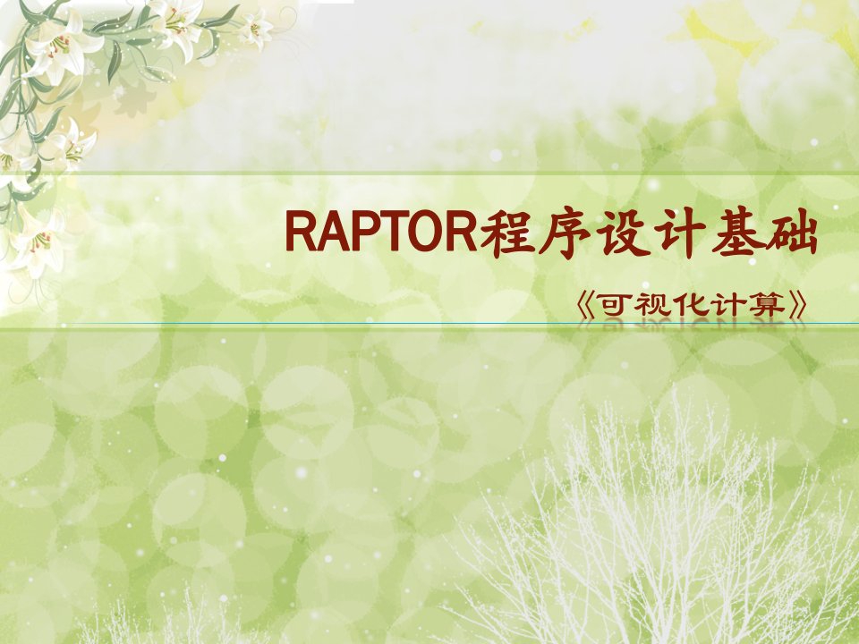 raptor软件使用技术总结