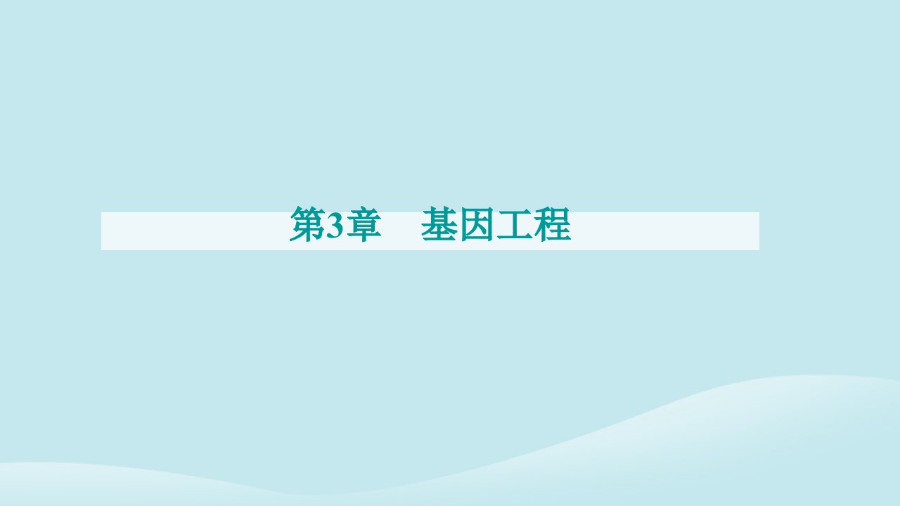 新教材2023高中生物第3章基因工程第3节基因工程的应用课件新人教版选择性必修3