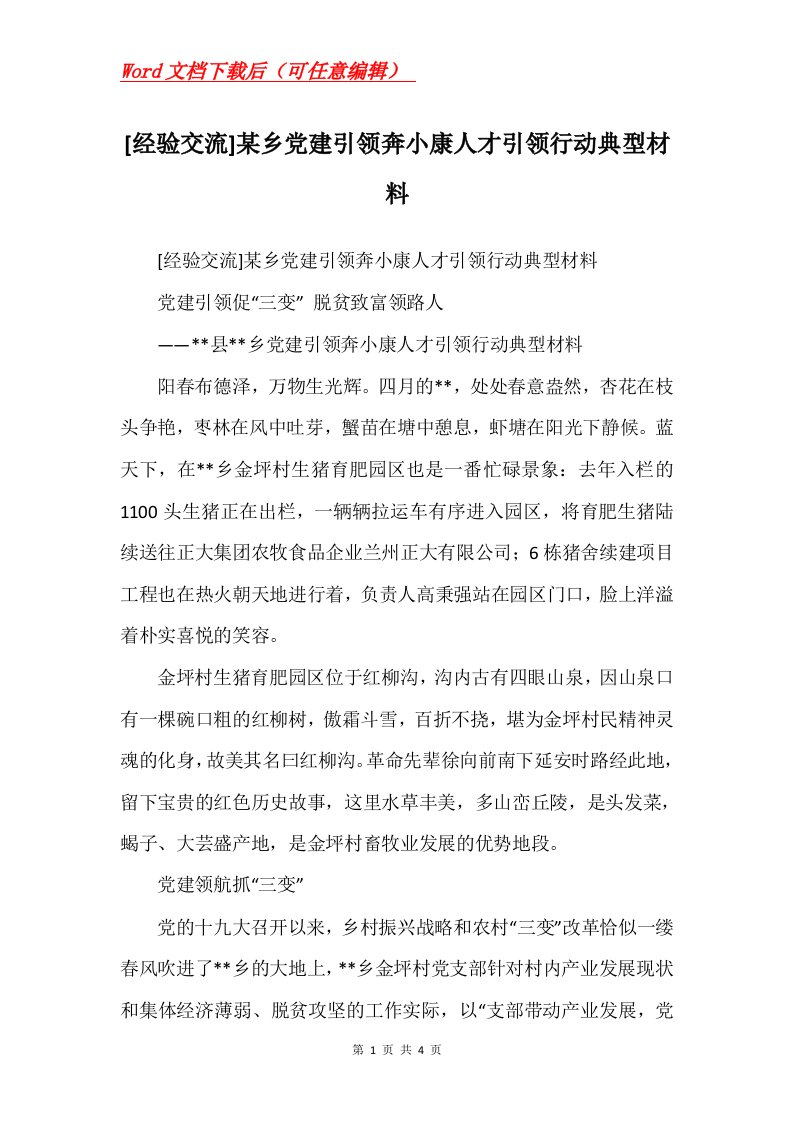 经验交流某乡党建引领奔小康人才引领行动典型材料