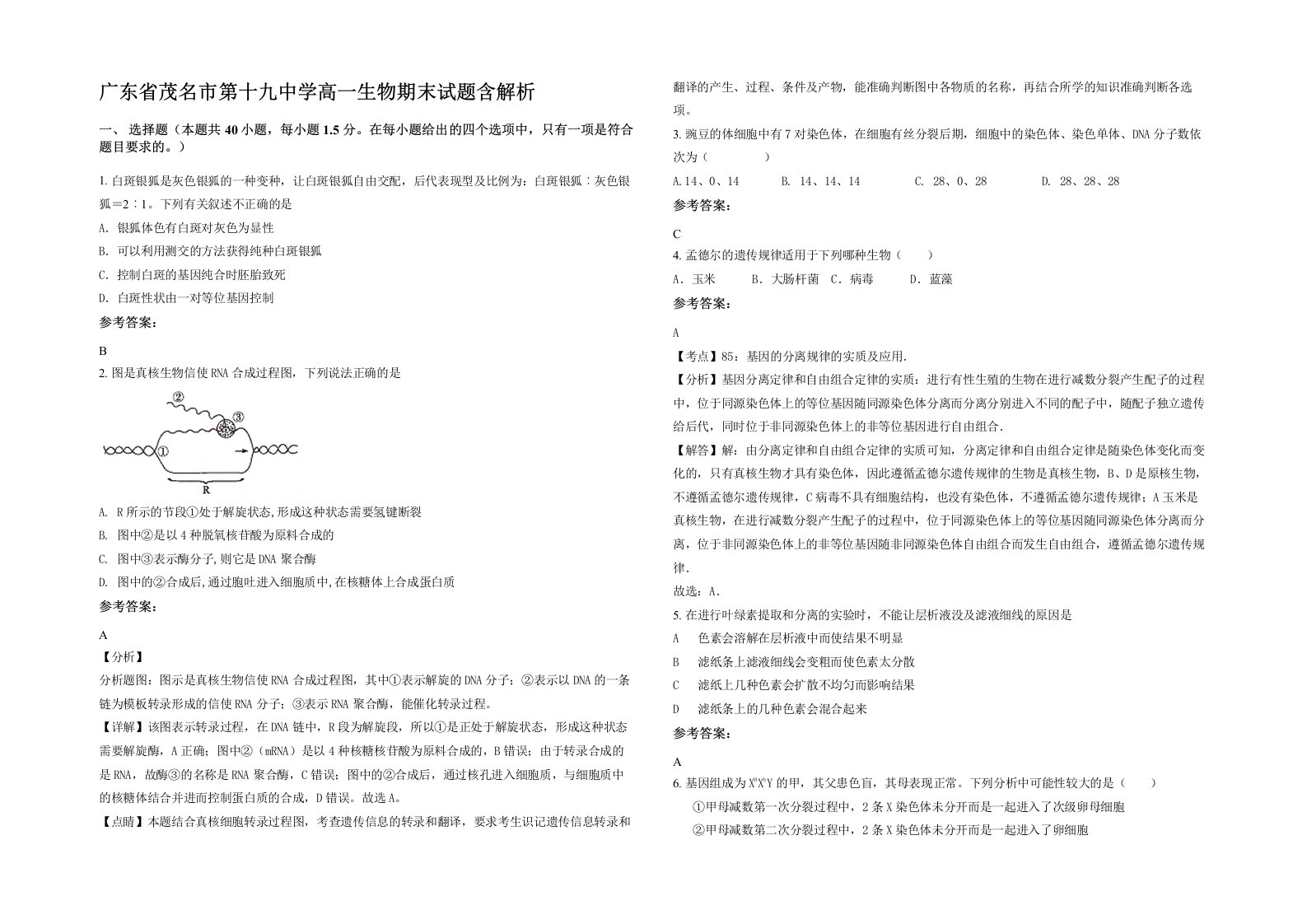 广东省茂名市第十九中学高一生物期末试题含解析