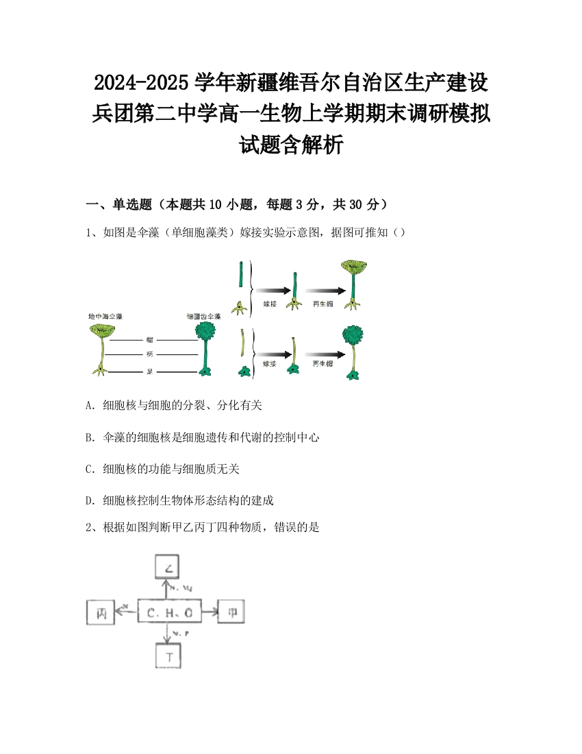 2024-2025学年新疆维吾尔自治区生产建设兵团第二中学高一生物上学期期末调研模拟试题含解析