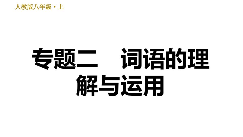 人教部编语文八年级上册期末专项复习ppt课件-专题二--词语的理解与运用