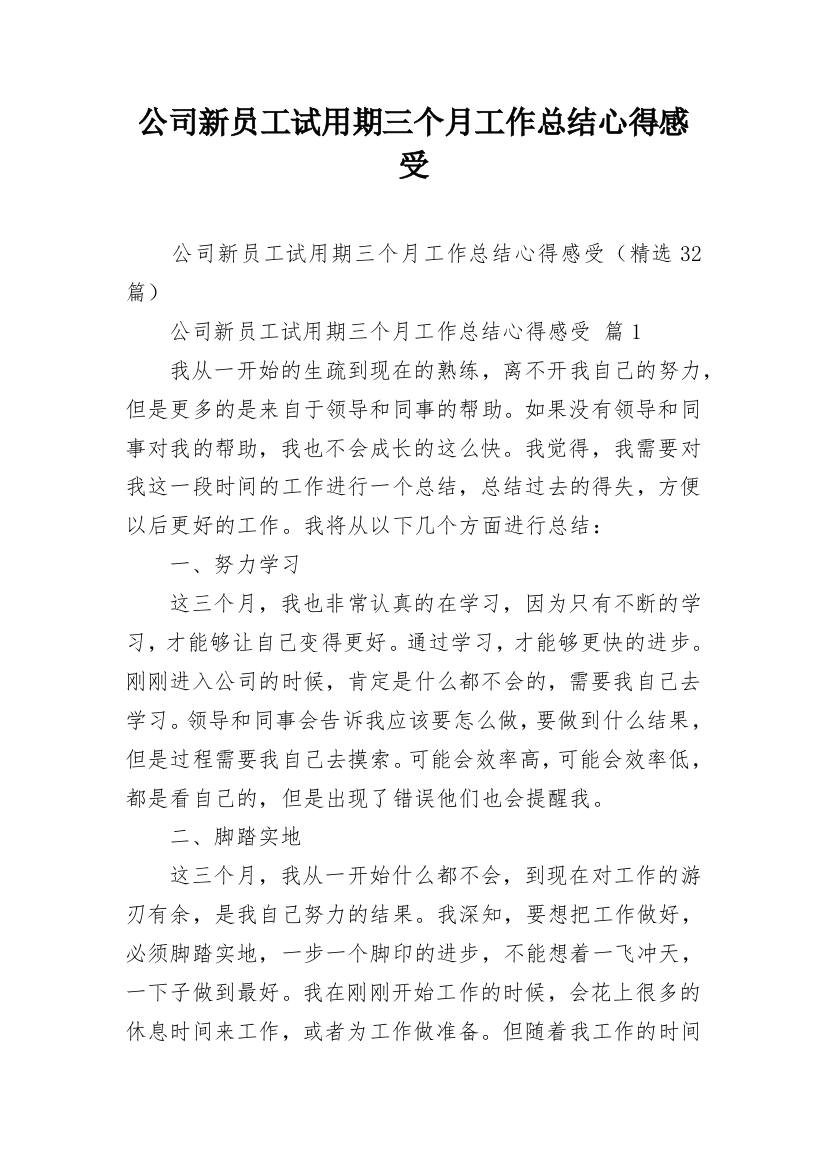 公司新员工试用期三个月工作总结心得感受