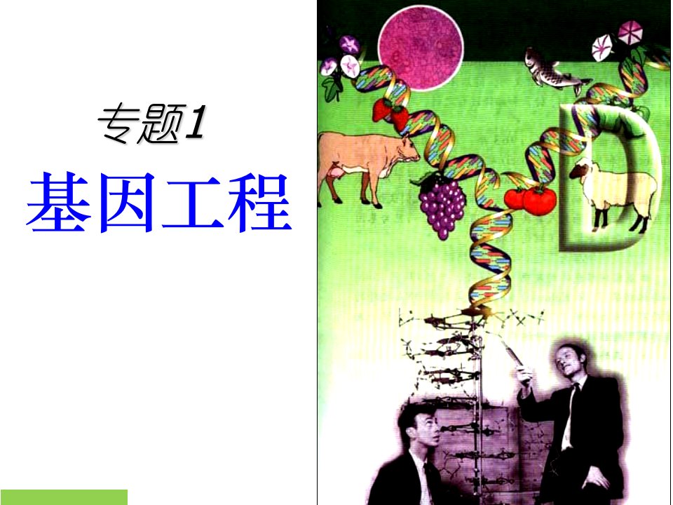 人教版生物选修三专题一