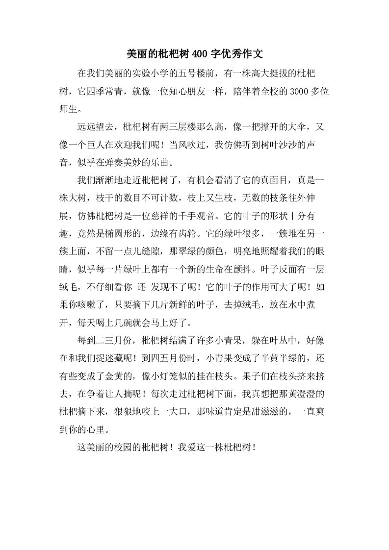 美丽的枇杷树400字作文