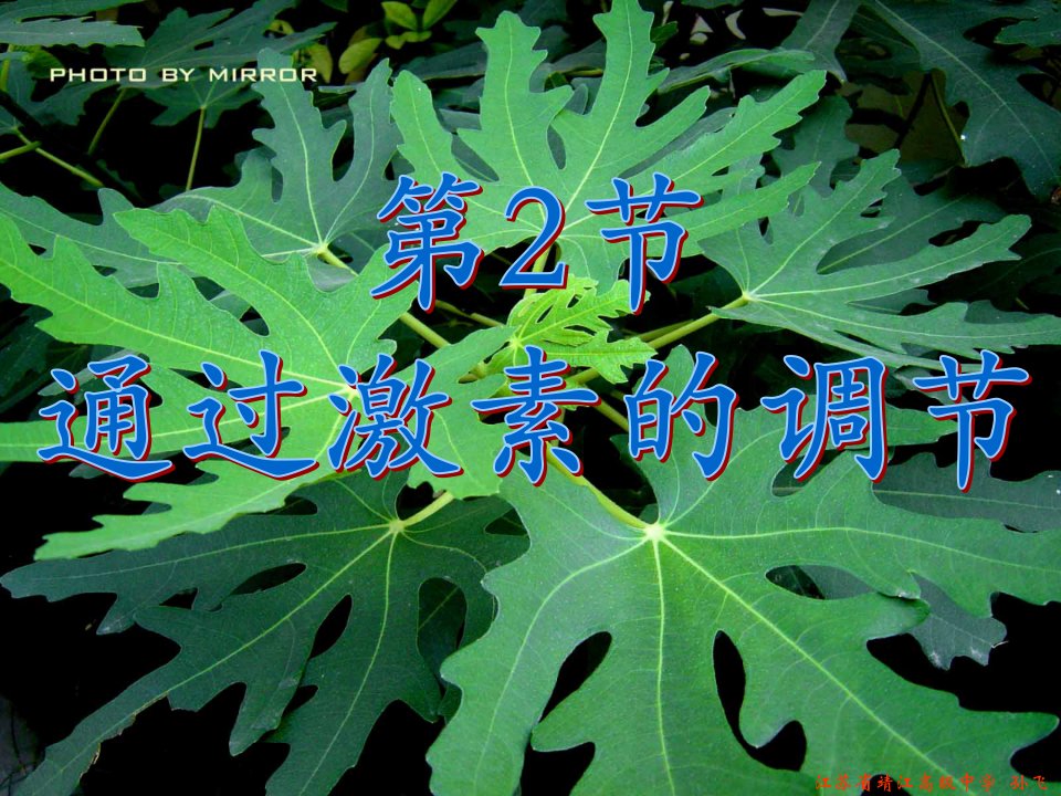 人教版教学课件必修3第2章第2节通过激素的调节上学期