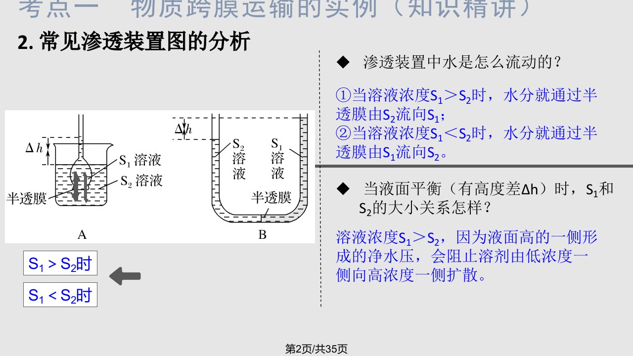 生物一轮复习细胞的物质输入和输出