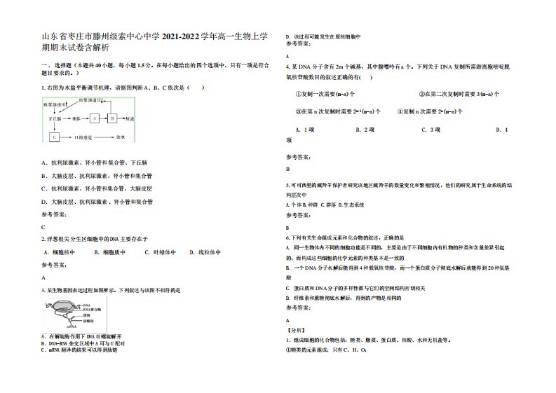 山东省枣庄市滕州级索中心中学2021-2022学年高一生物上学期期末试卷含解析